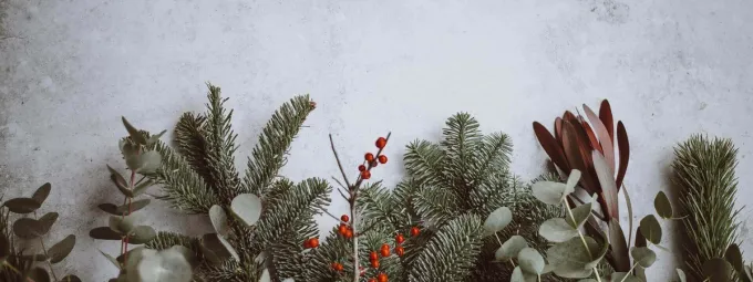 Your Christmas Payroll 2023 | Protocol Education