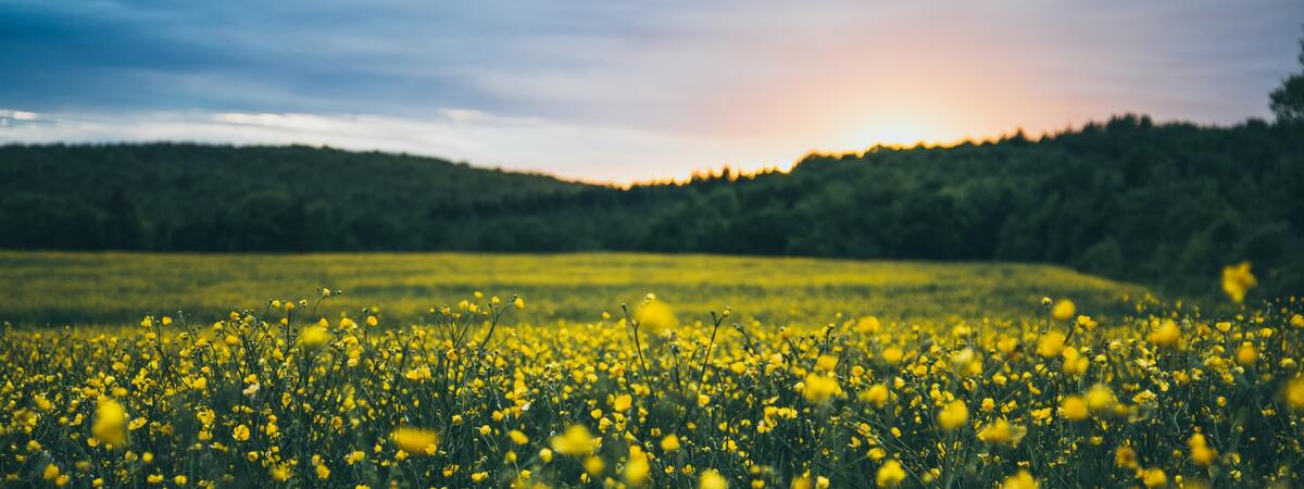 Sebastien Marchand D1h Fw0z Ea Ks Unsplash