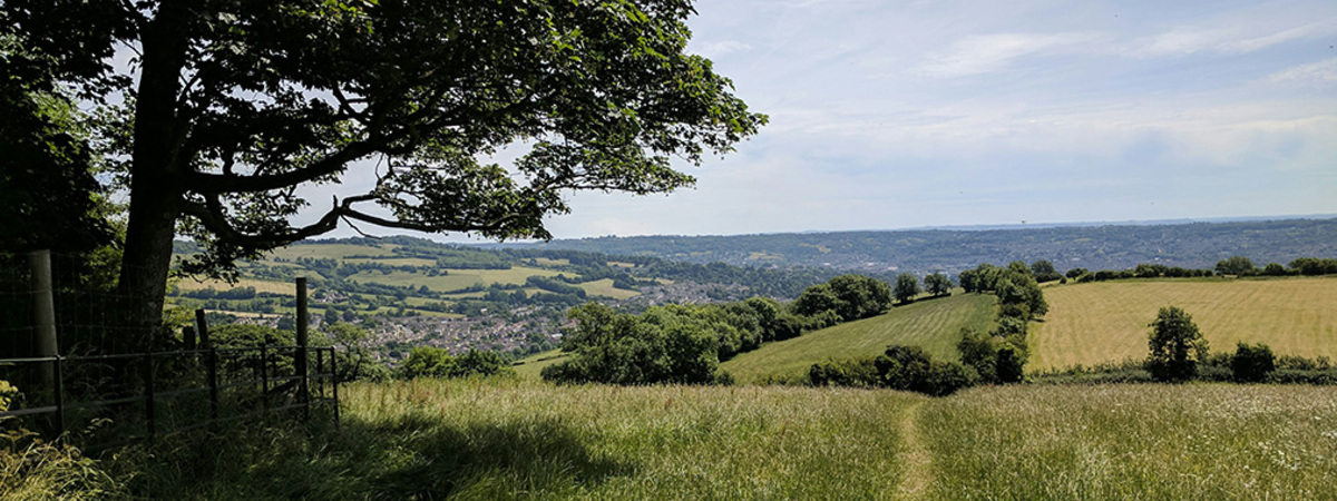 Uk Countryside